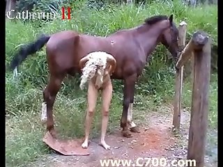 Horse porn Maid