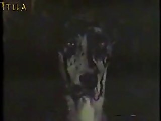 Best Zoofilia Compilation