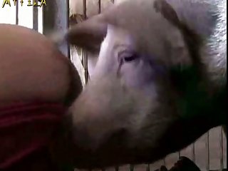 Zoofilia Hentai Manga