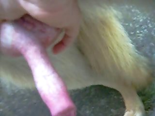 Zoophilia Porn