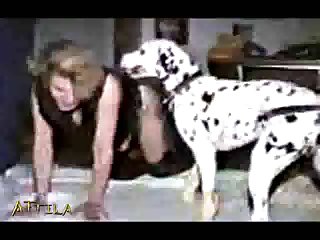 Animal Sex Have To Fuck With Dogs And Blow Horse Cocks 59 Min Animalsex Part 5