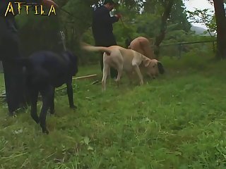 Www Organism Lovemaking Videos Com