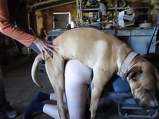 Hot Xxx Movies Porn Xxx