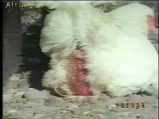 Woman With Animal Sex