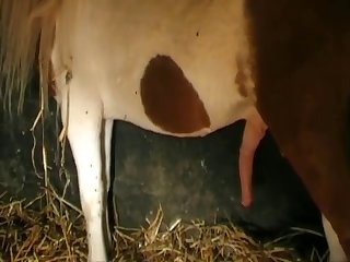 Intercourse Xnxx Blue Film Xxx Low-spirited