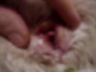 Joyous Organism Sex Drawings