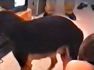 Pat The Dog Porn
