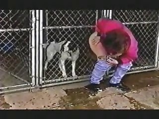 Spain Resolution Animal Sex