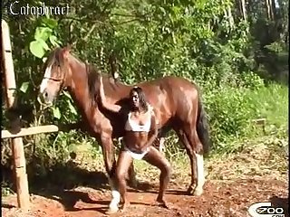 Phim Sex Nguoi Va Thu