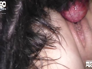 Xvid Eo