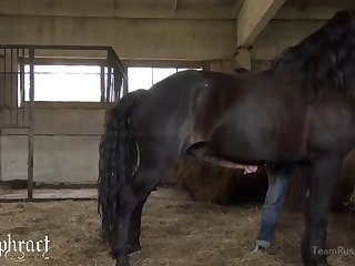 Blonde Busty Jessica Fucked With A Horse Cock