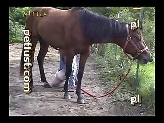 Petlust Download - Gay Zoo Petlust Men Stallion [divx] Part 1