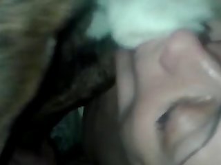 Girlfriend Taking Dog In For everyone Her Hot Holes Extremebeastzoo