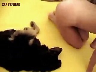 Why Is Animal Porn Legal