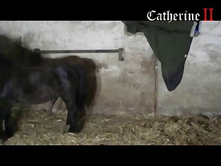 Zoofilia Xxx Videos